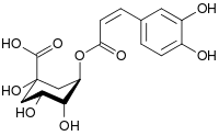 Srukturformel Chlorogensäure.