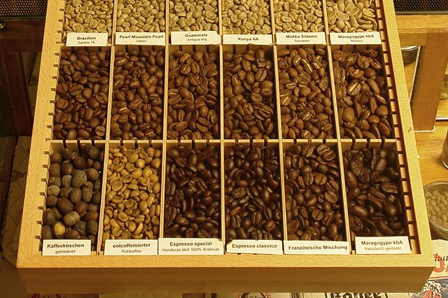 Wissenswertes zur Kaffeepflanze Coffea